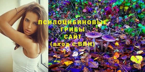 героин Инсар