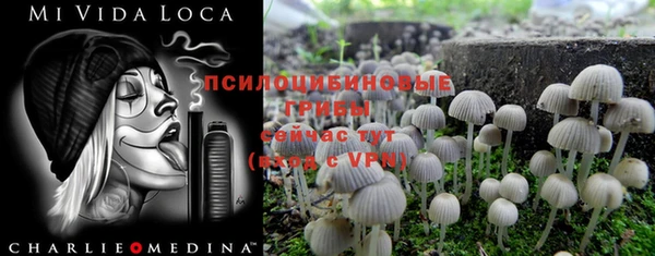 мяу мяу кристалл Инта