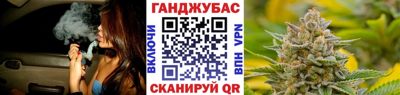 Конопля план  Купить где  Верея 